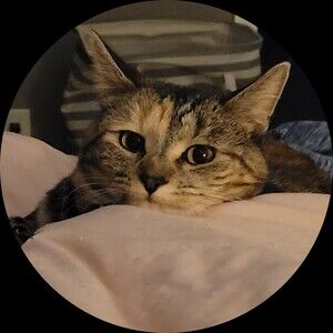 Meet your Posher, Mandie